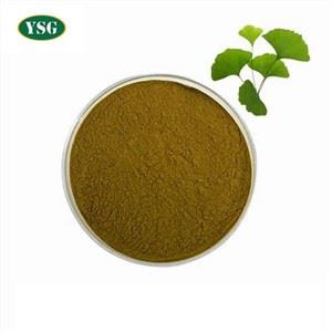 Ginkgo Biloba Folium-extract