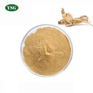 Panax Ginsengwortelextract