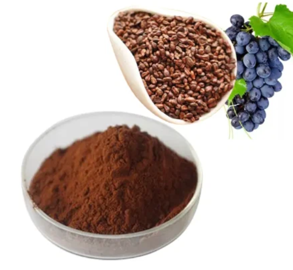 Druivenpitextract 95 Proanthocyanidinen