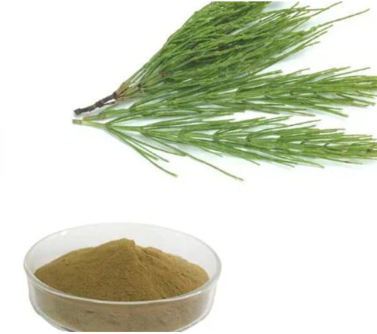 Botanisch extract van paardenstaart